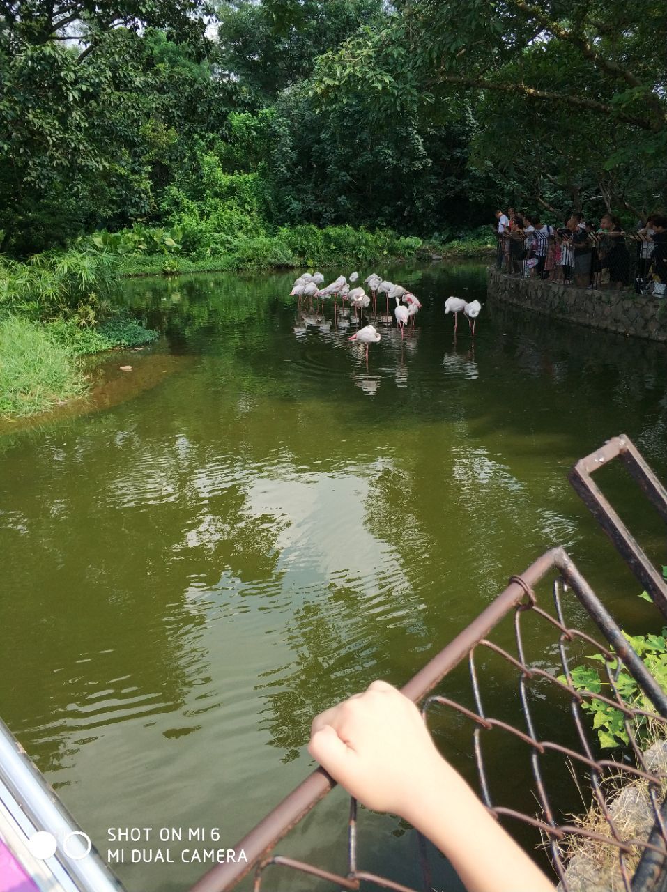 廣州動物園旅遊景點攻略圖