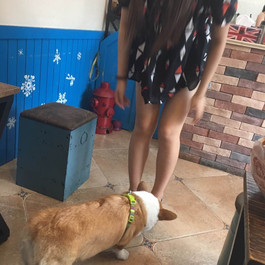 阜宁苏湘里攻略,苏湘里特色菜推荐\/菜单\/人均消