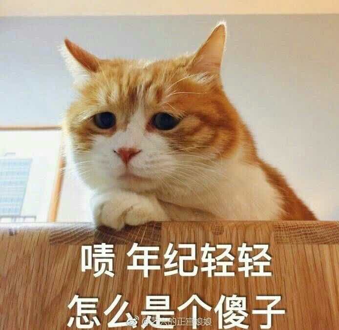 中华面点王老板娘去世图片