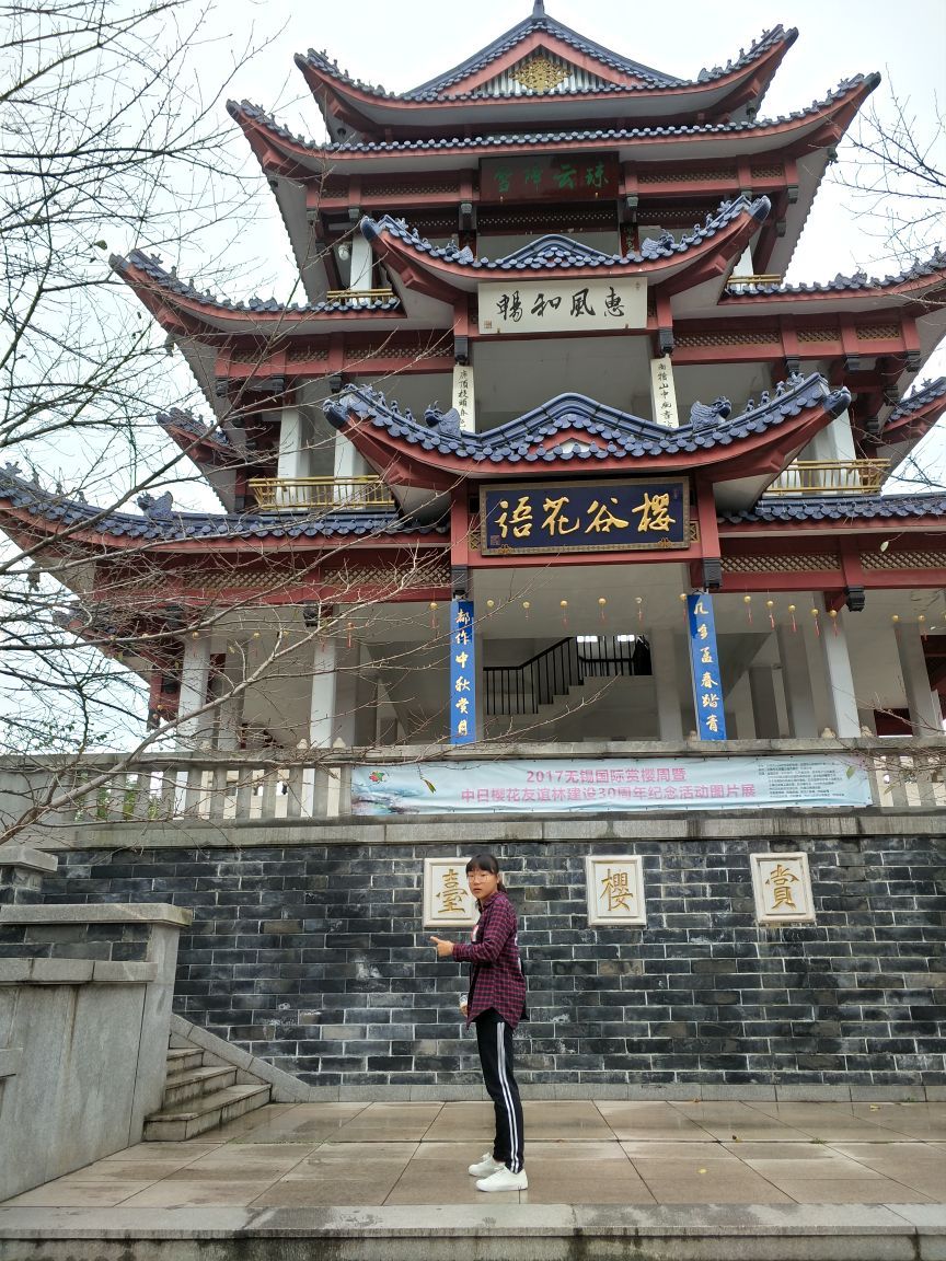 湖西北岸的一个半岛有充山隐秀樱花各人杰馆江南兰
