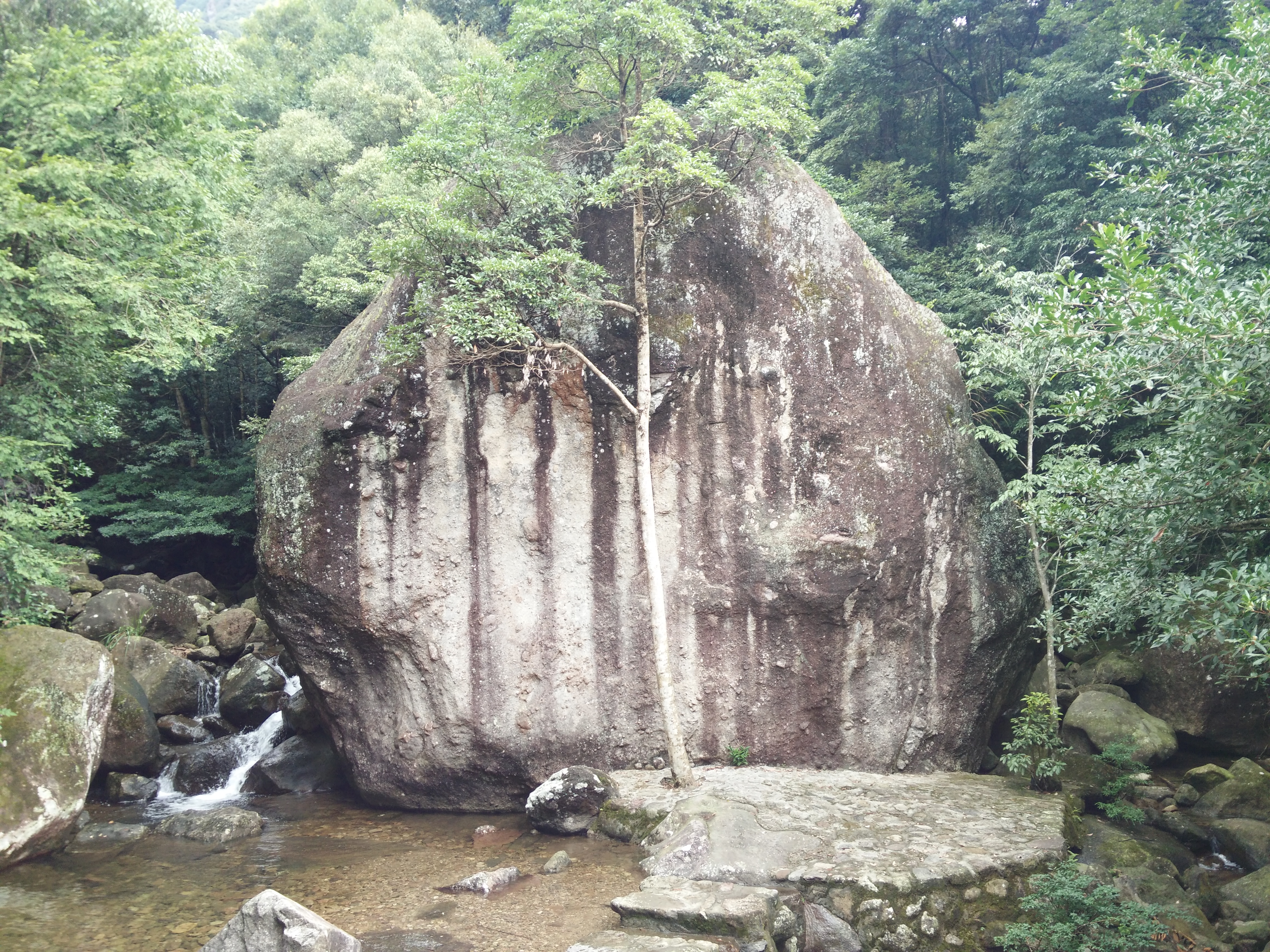 【攜程攻略】仙遊菜溪巖景點,這裡山清水秀,溪水清澈,空氣清新,有