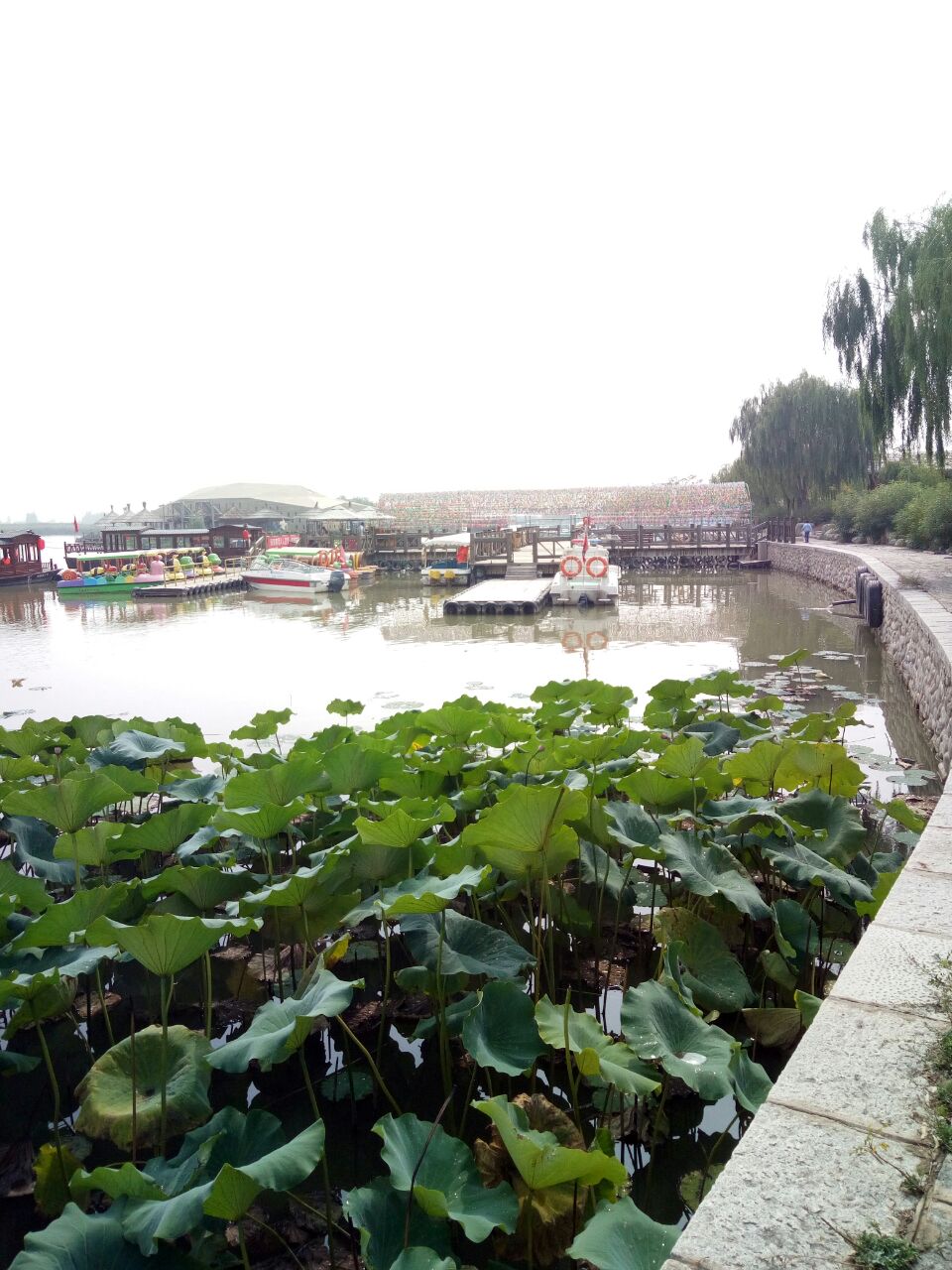 银川鸣翠湖国家湿地公园