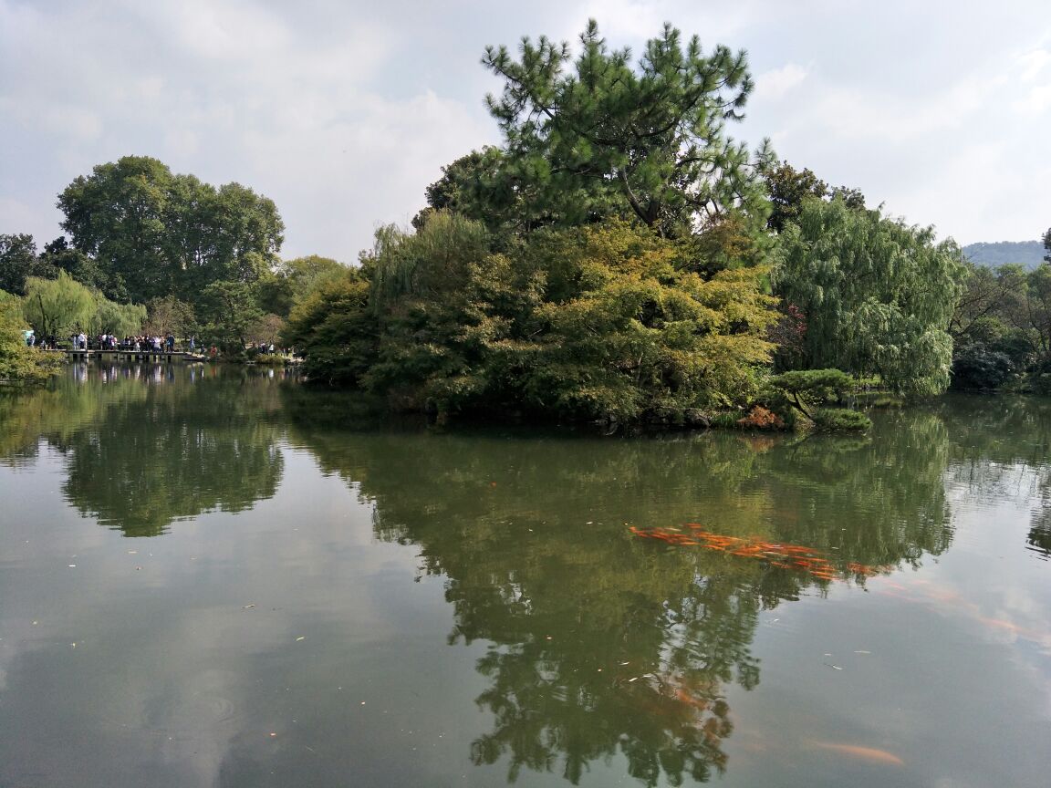 杭州西湖 西溪國家溼地公園 黃龍洞景區一日遊【含景區內遊船 純玩無