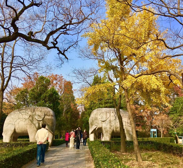 南京石象路好玩吗,南京石象路景点怎么样_点评_评价【携程攻略】