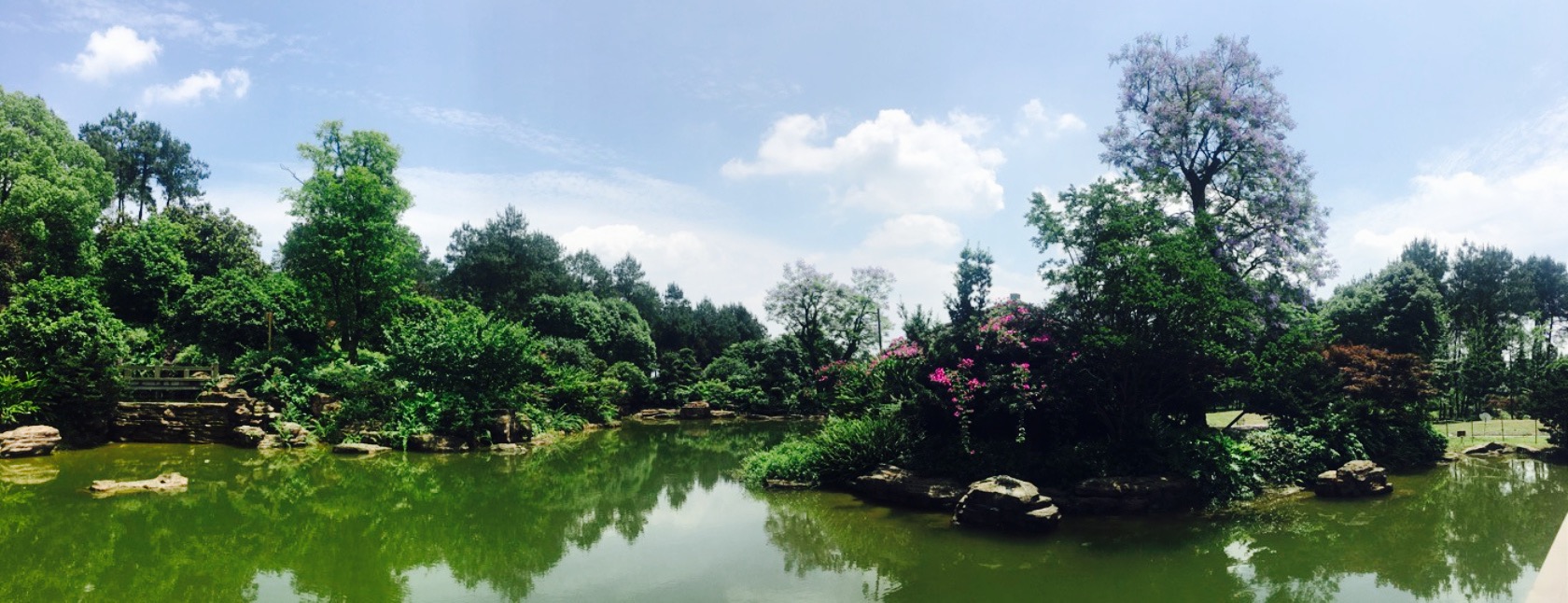 銅鑼花谷生態園