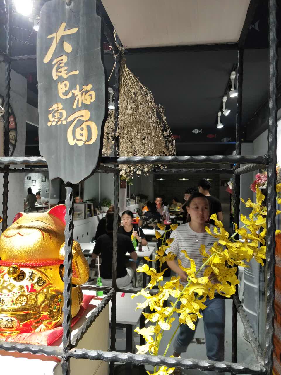 大尾巴猫鱼面