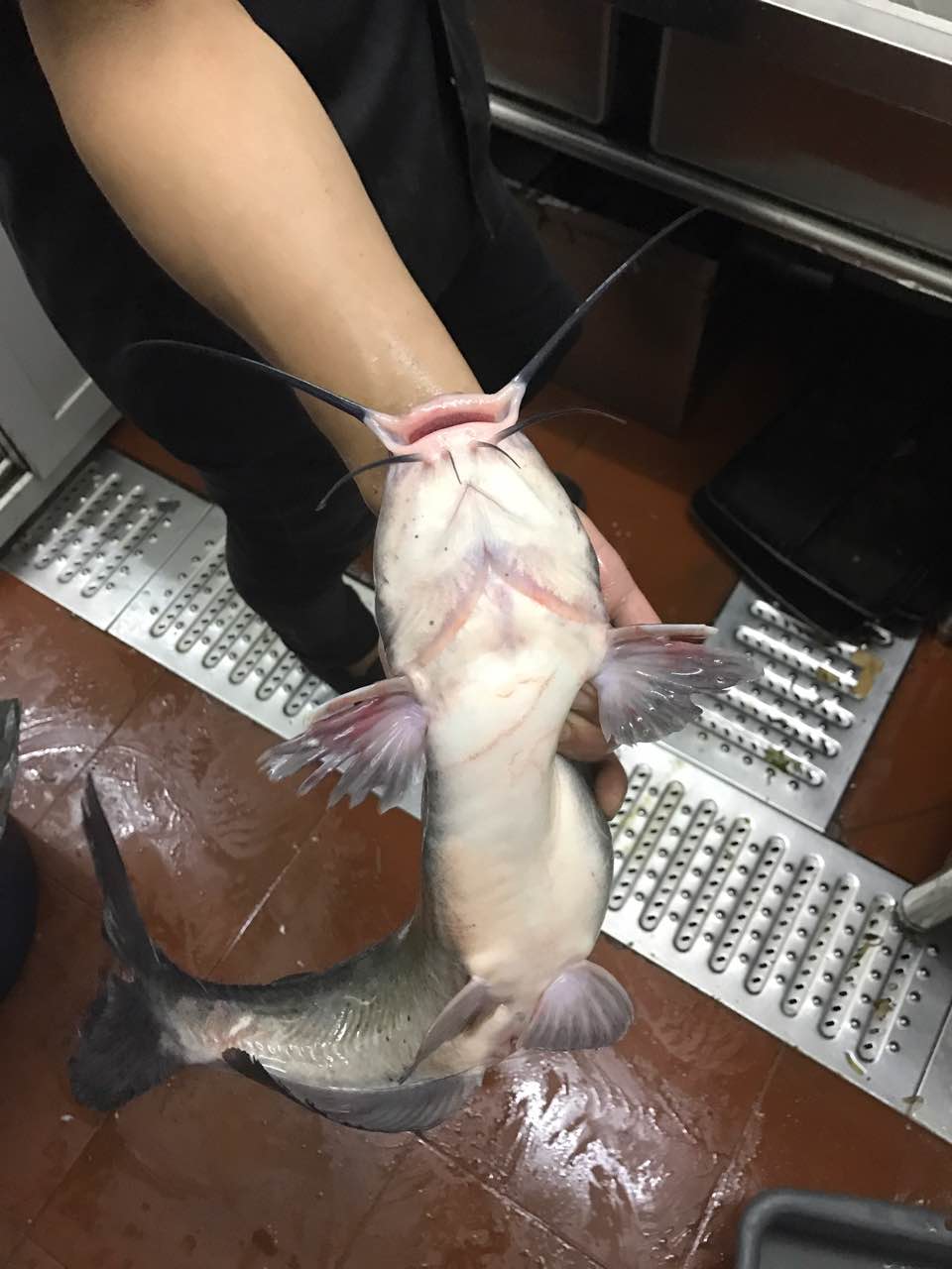 我是蛋壳·一鱼双味(远洋未来广场店)