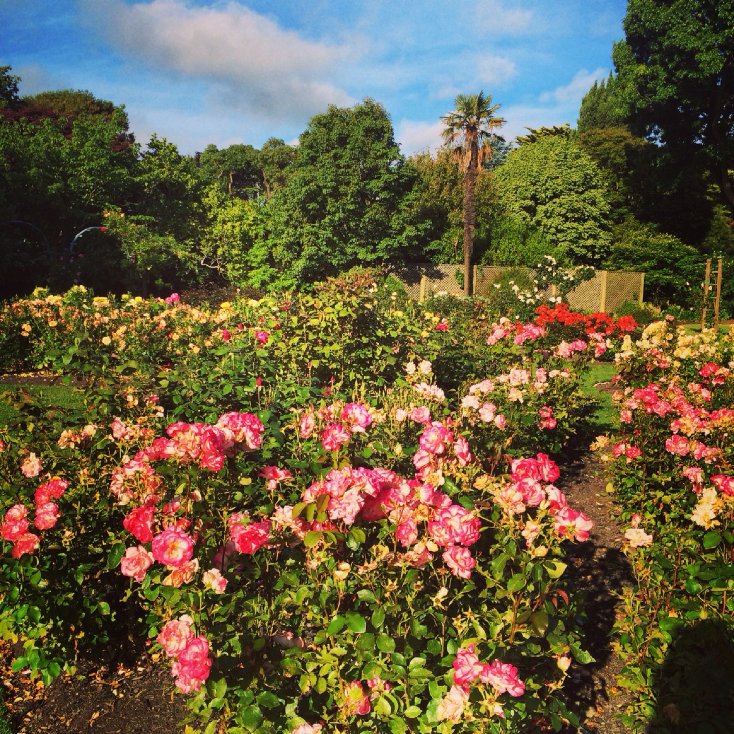 great spot for a picnic. don.