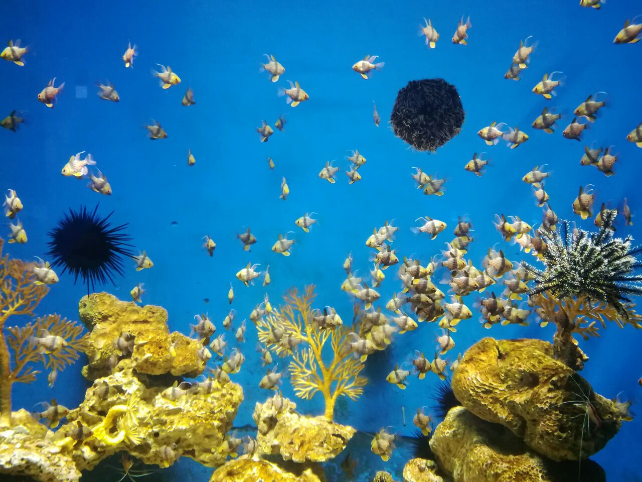 南昌万达海洋乐园