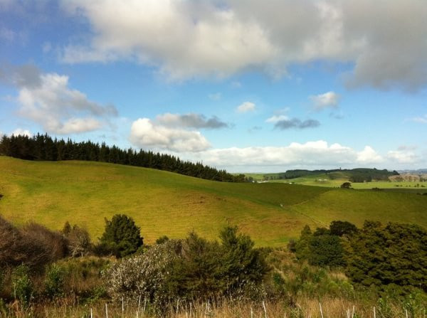 边做义工边旅行の新西兰环保义工体验报告