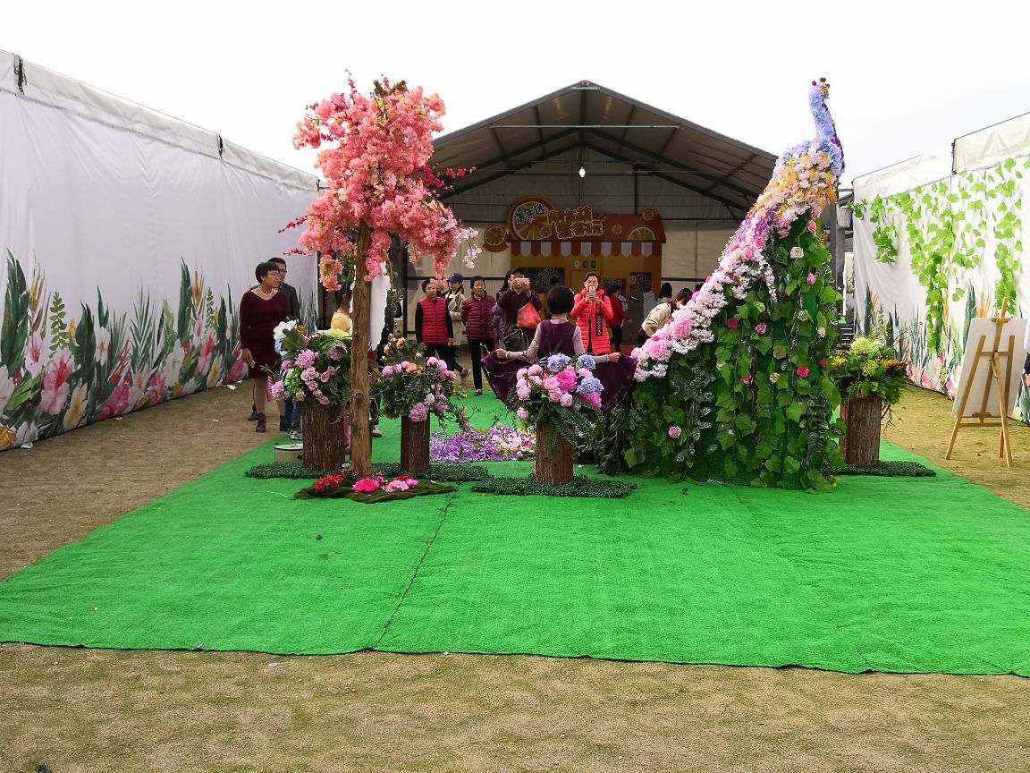 汕頭金壽生態園攻略,汕頭金壽生態園門票/遊玩攻略/地址/圖片/門票