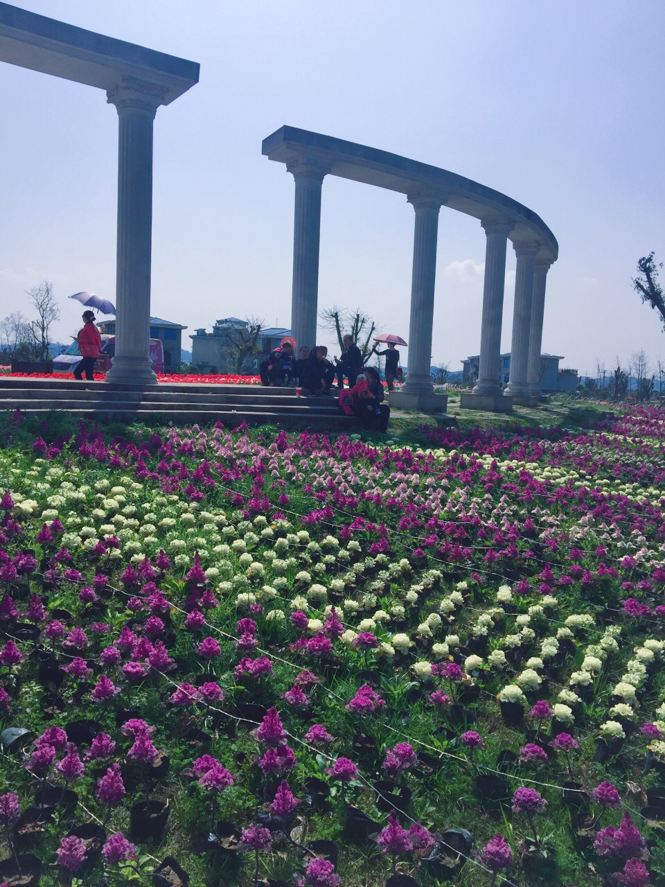 南充锦绣田园风景区好玩吗,南充锦绣田园风景区景点怎么样