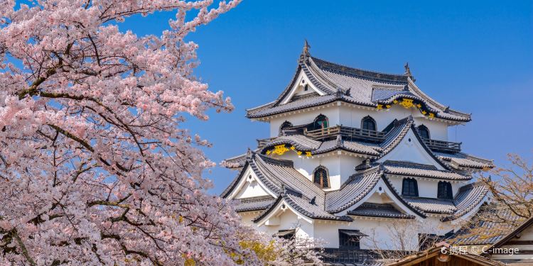 琵琶湖彦根城攻略 彦根城 Hikone Castle 门票 游玩攻略 地址 图片 门票价格 携程攻略