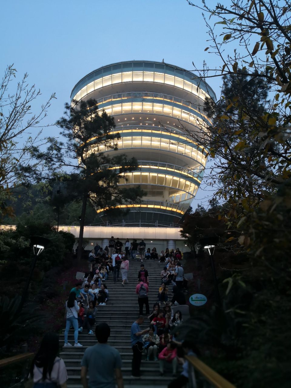 重庆南山一棵树照片图片