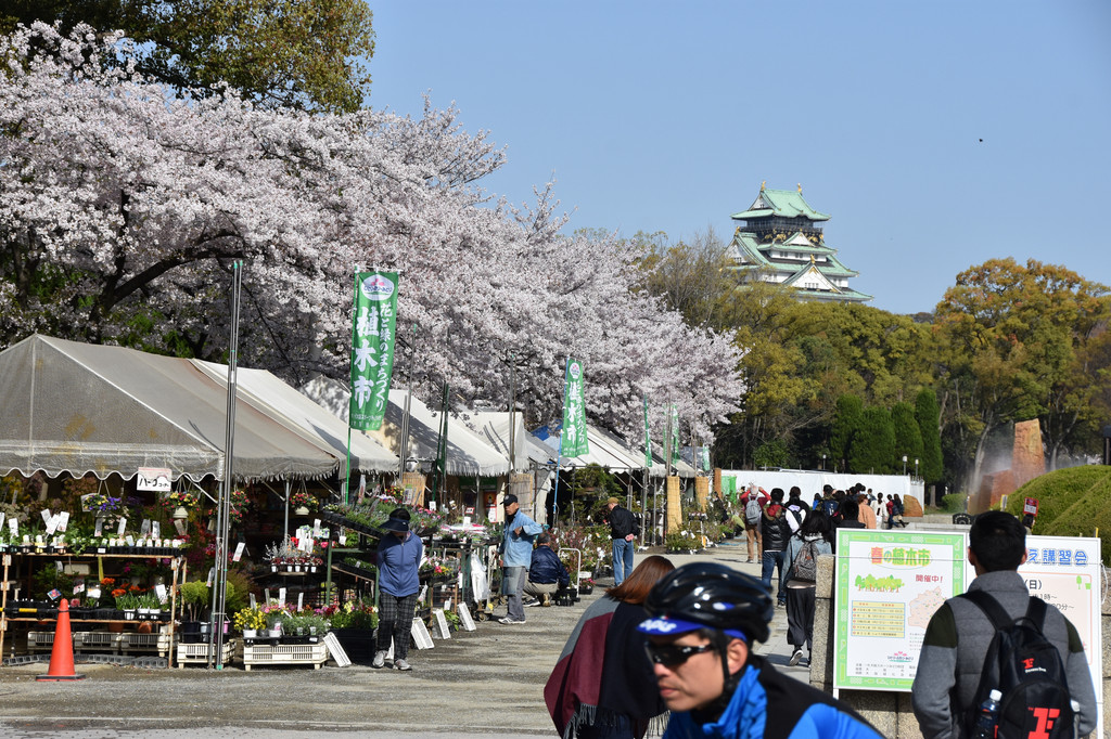 从酒店出去5分钟,地铁大国町路上,看到一个没人的神社▼公园内的小