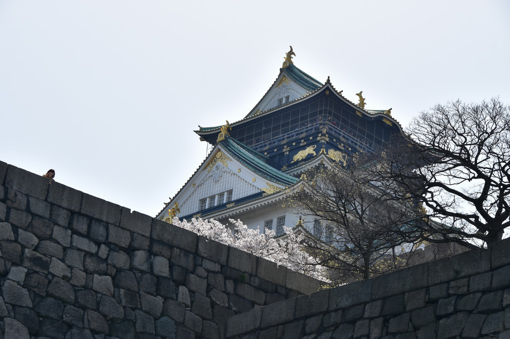 日本我來啦!大阪,奈良,神戶,姬路城,京都9日深度遊,美照美景無數