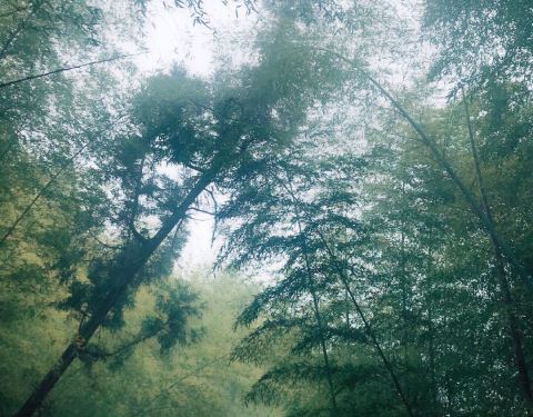 2021大甲铁砧山风景特定区门票 台中大甲铁砧山风景特定区游玩攻略 大甲铁砧山风景特定区游览攻略路线 地址 门票价格 去哪儿攻略