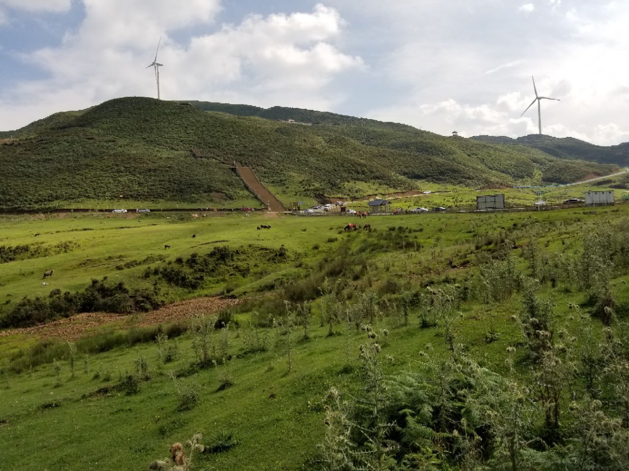 2019乌蒙大草原_旅游攻略_门票_地址_游记点评,盘县旅游景点推荐 去