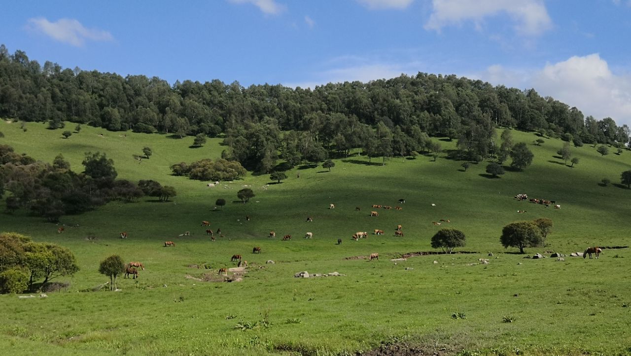 【攜程攻略】隴縣關山草原景點,非常值得去一趟.