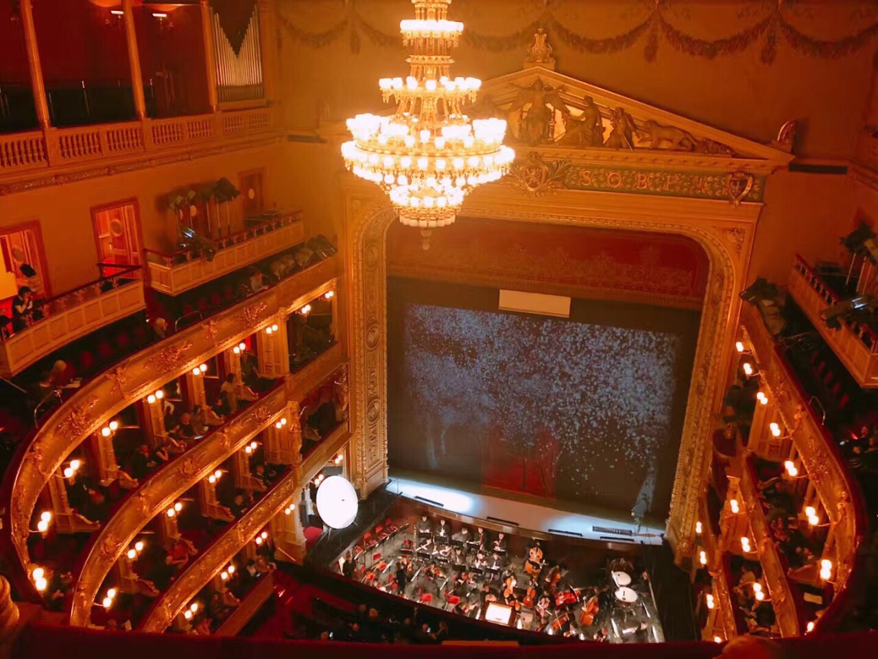 世界上最美丽的歌剧院_柯瑞思_新浪博客