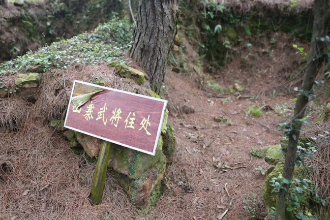 佛系养身慢生活,吃喝玩乐在高明