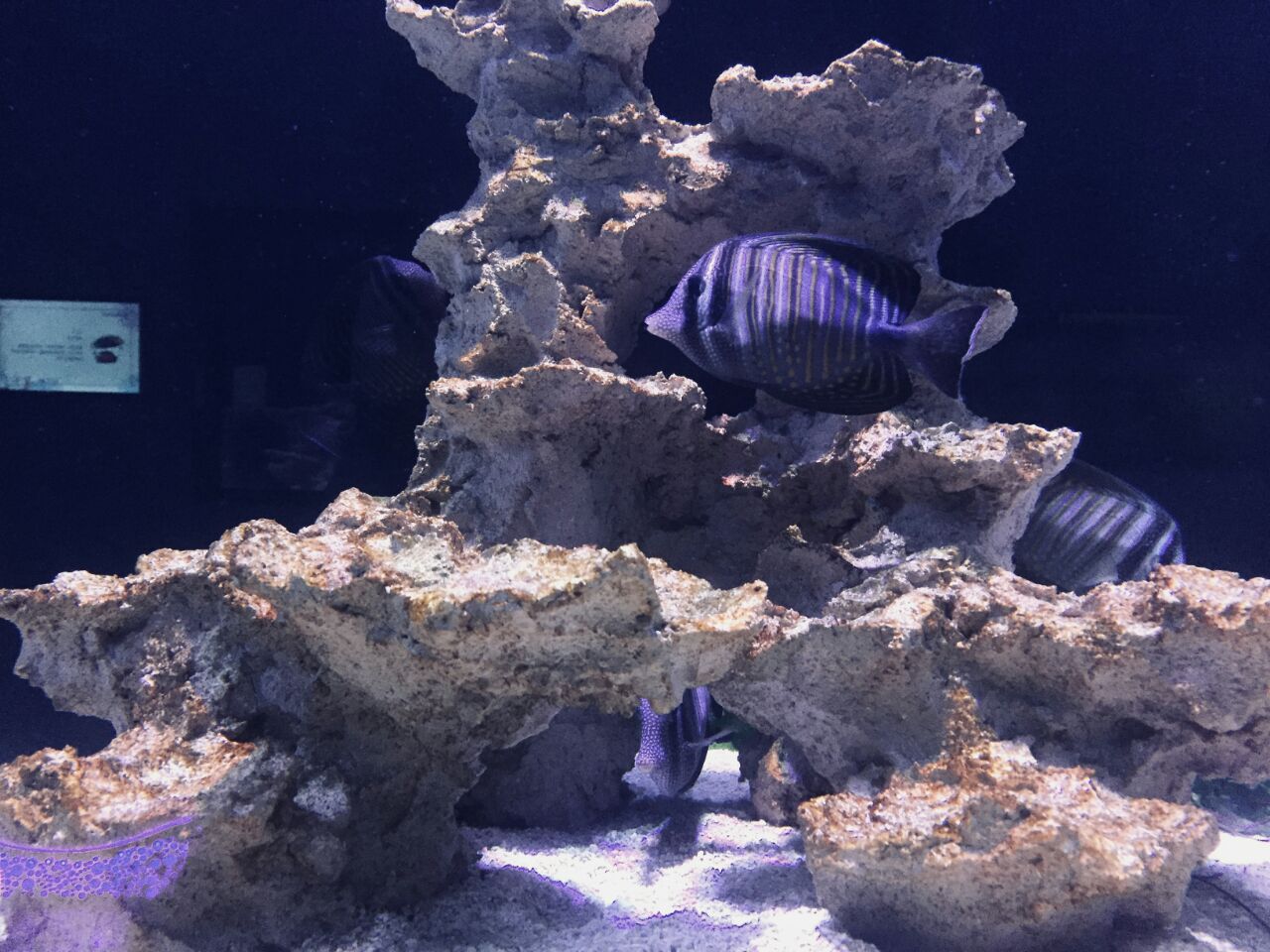 珊瑚礁海洋生态馆