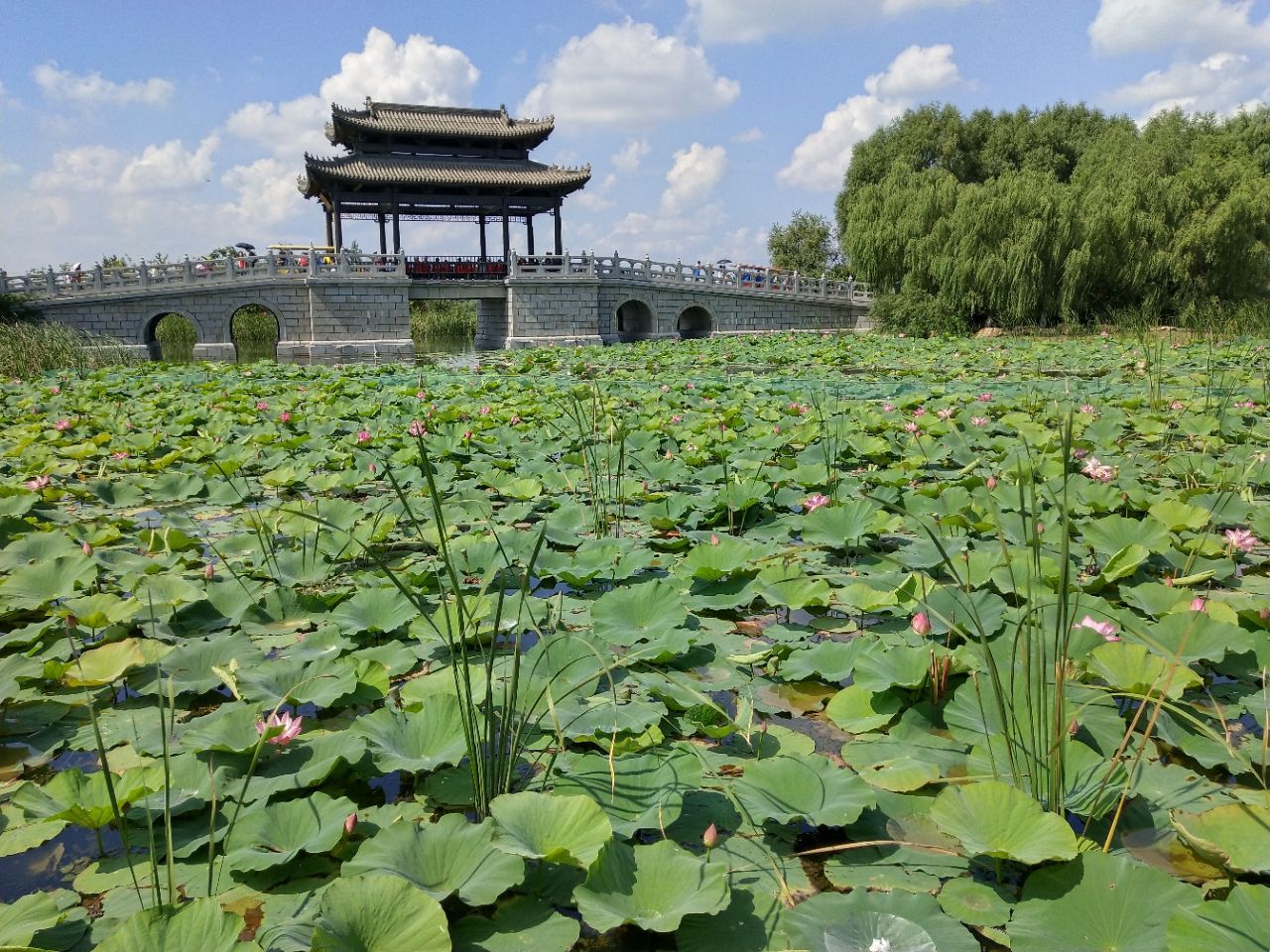 2020长春北湖国家湿地公园-旅游攻略-门票-地址-问答-游记点评,长春