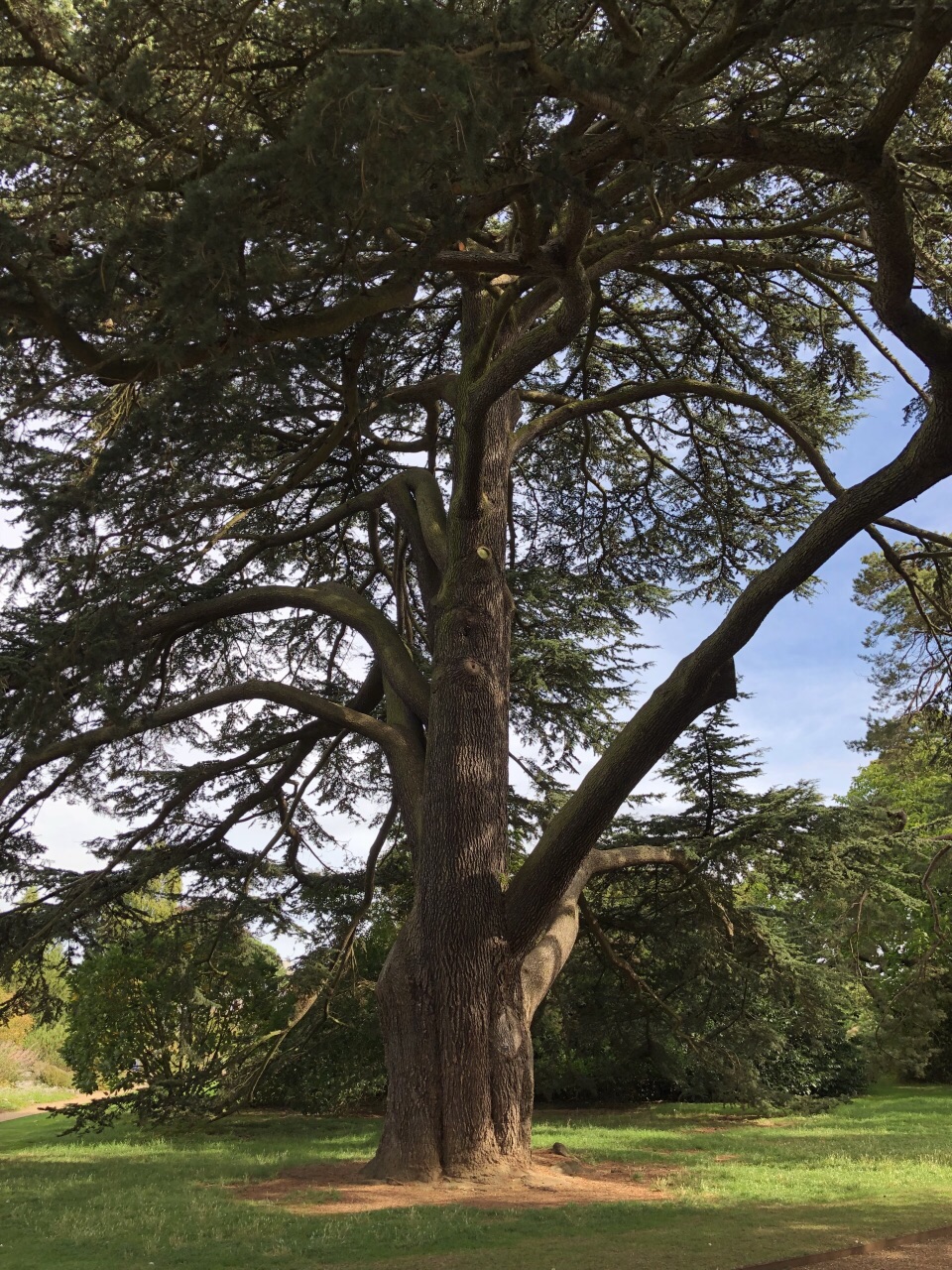 剑桥大学植物园