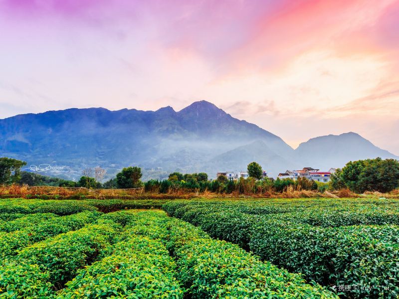 宁德霍童支提山