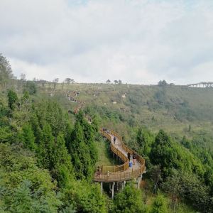 2019七坪寨_旅遊攻略_門票_地址_遊記點評,南充旅遊景點推薦 - 去哪兒