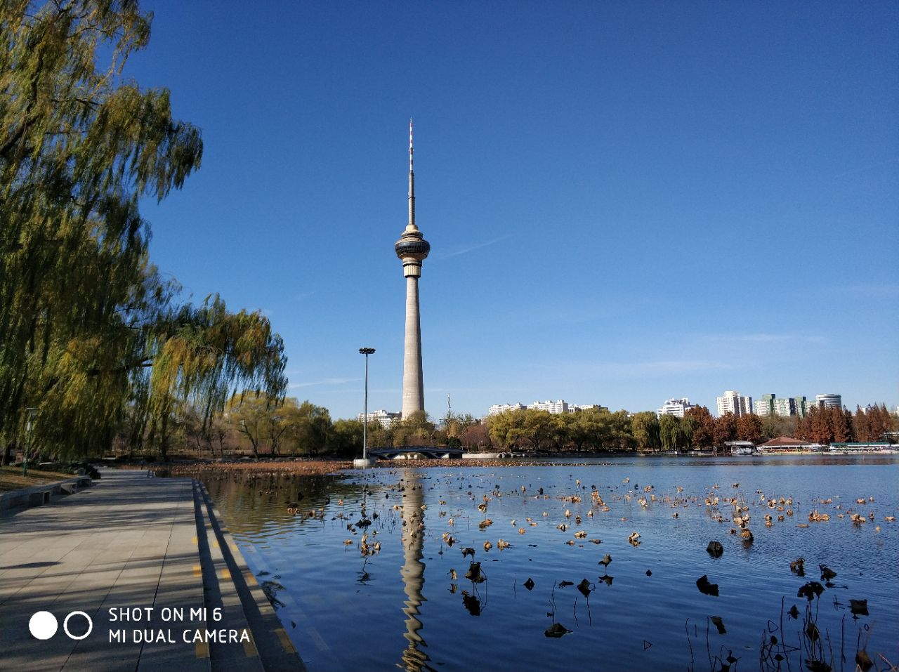 2019玉渊潭公园_旅游攻略_门票_地址_游记点评,北京旅游景点推荐 - 去