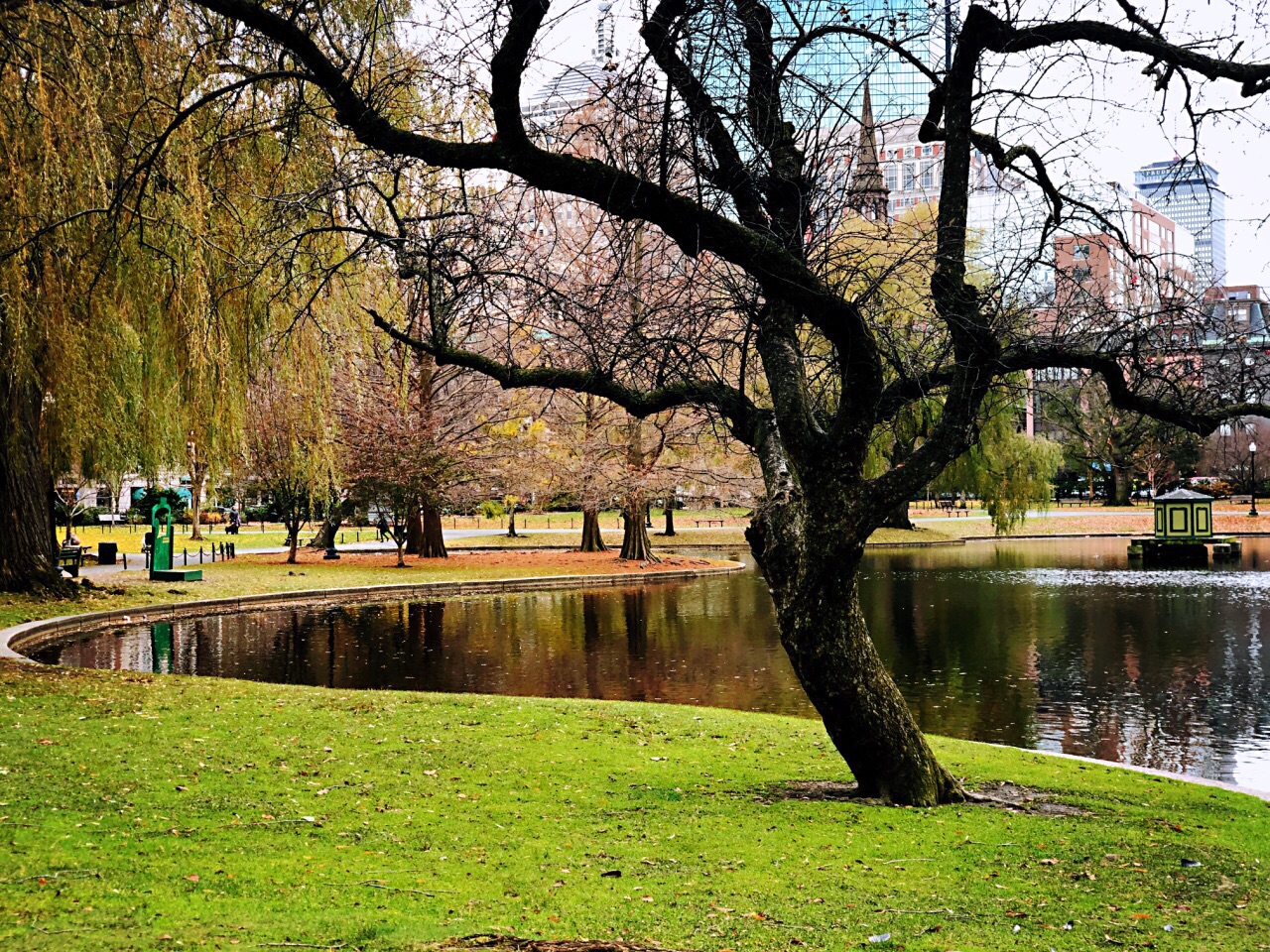 波士顿公共花园