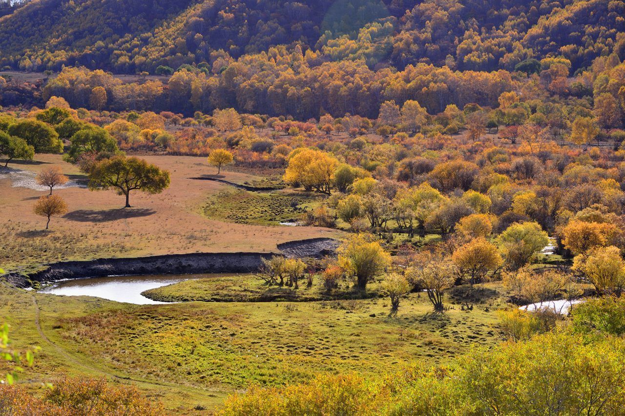 河北省塞罕坝机械林场总场大唤起林场