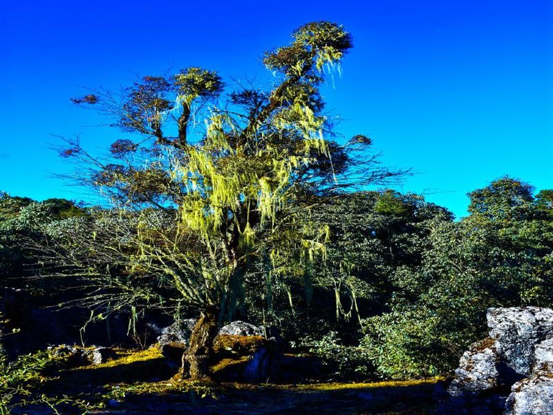 鹽邊格薩拉生態旅遊區攻略-格薩拉生態旅遊區門票價格多少錢-團購票價