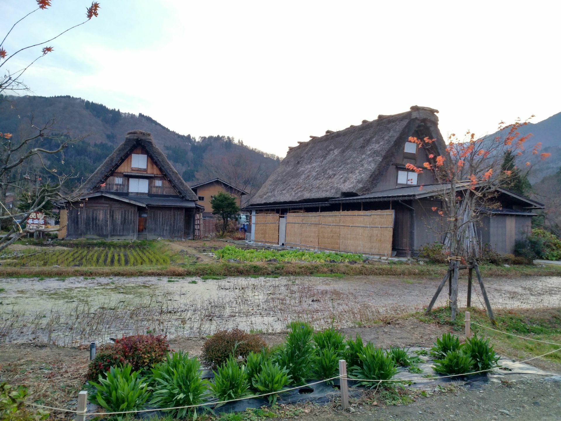 白川鄉合掌村旅遊景點攻略圖