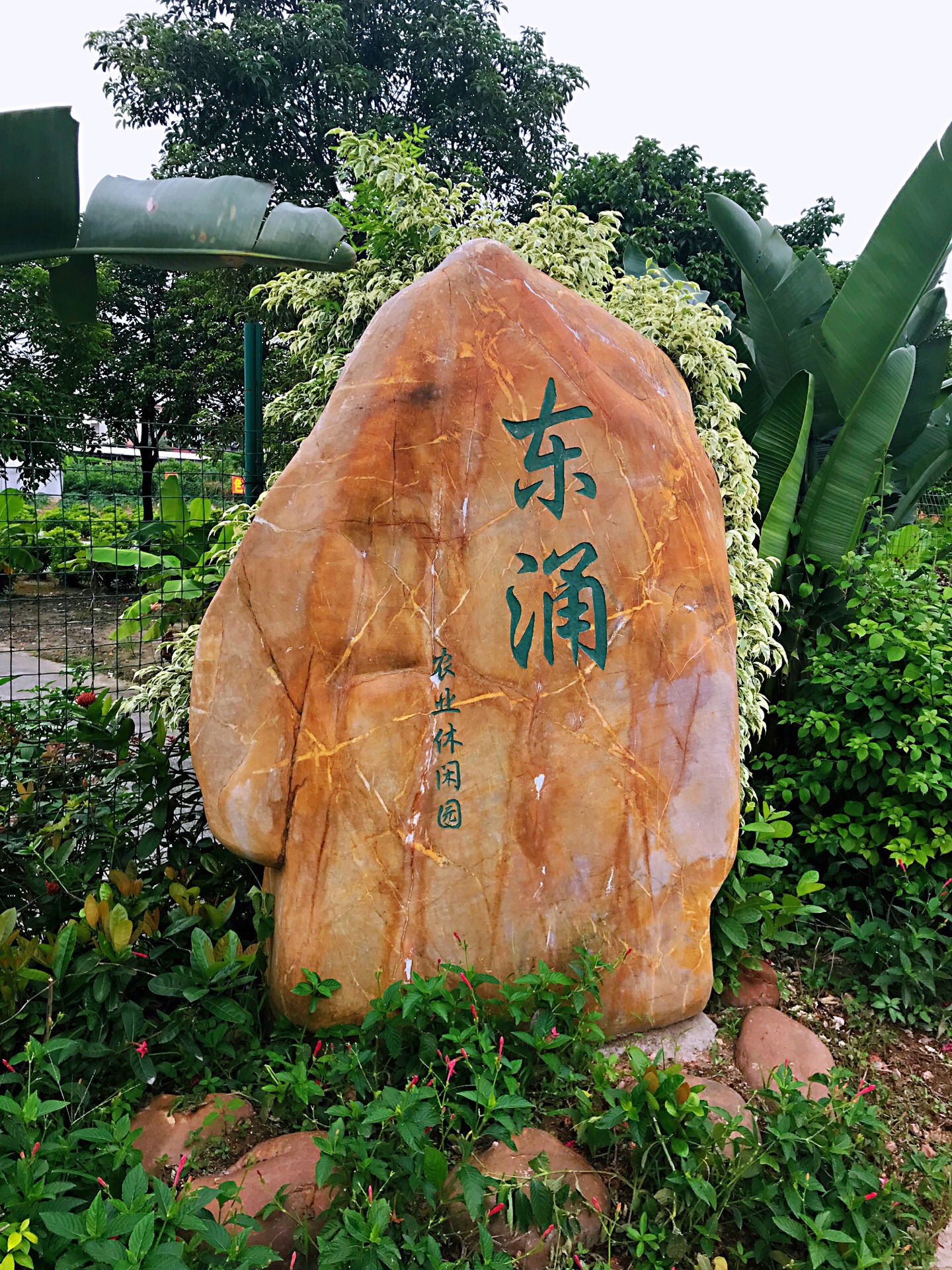 南沙是个好地方，这个地方美得一塌糊涂，赶紧去打卡！_东涌