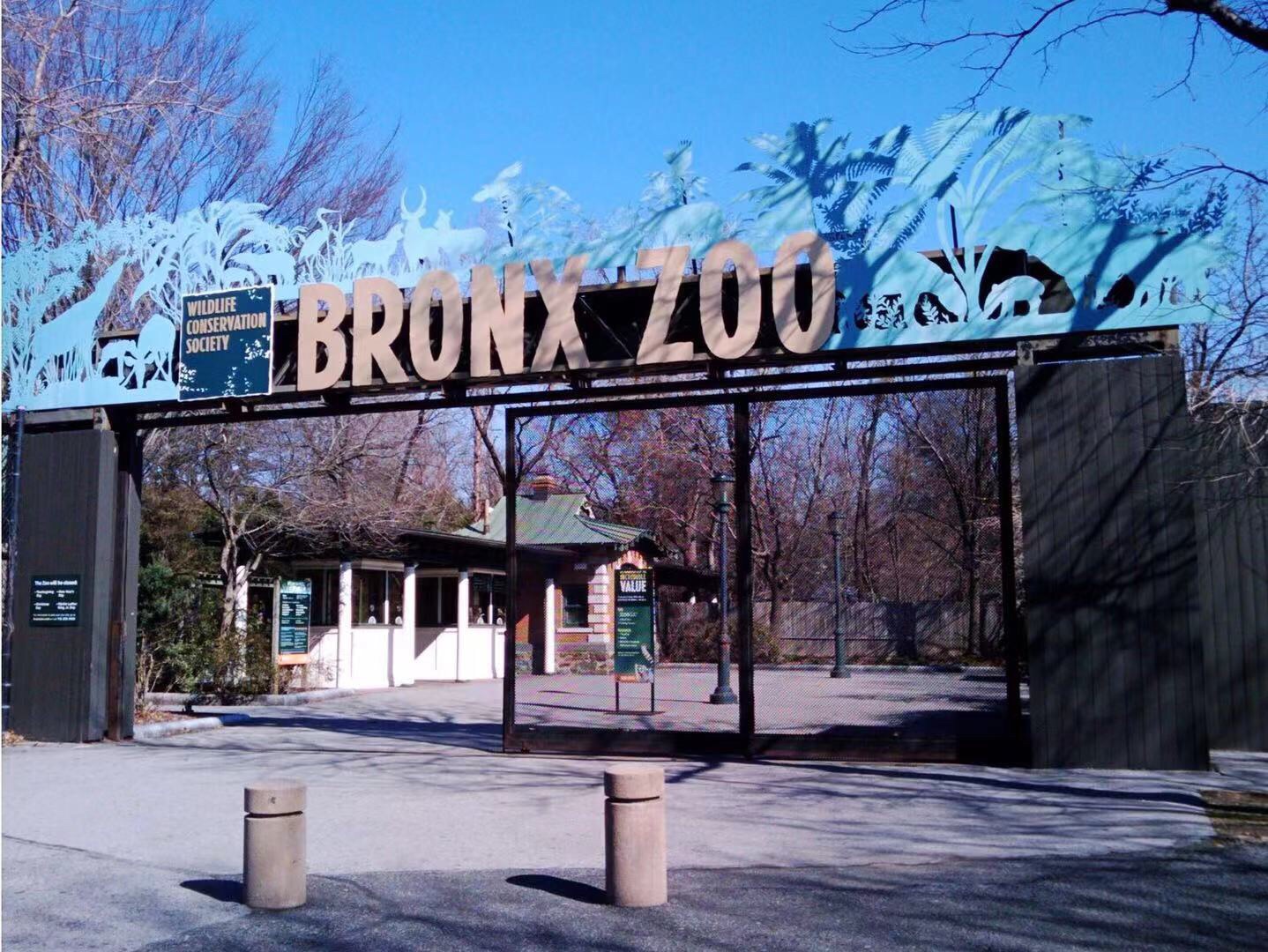 布鲁克菲尔德动物园图片