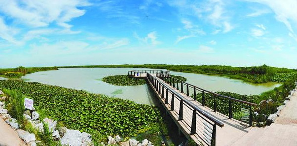 合肥周边一日游推荐!