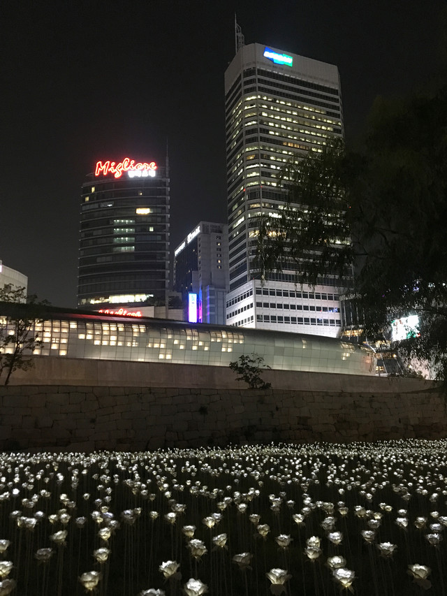 附上美丽的东大门夜景