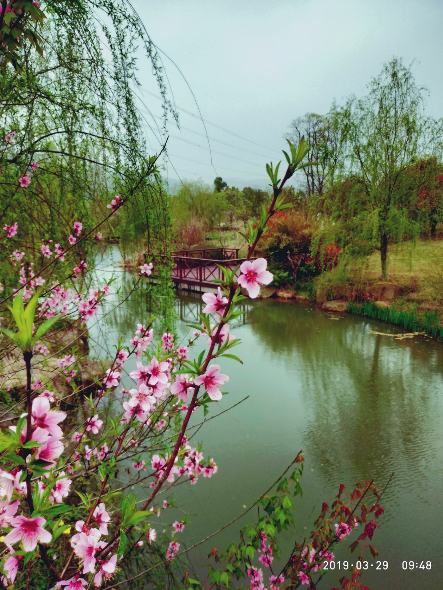 10月1日，天台山大瀑布（琼台仙谷）景区正式启用“会仙桥”-台州频道
