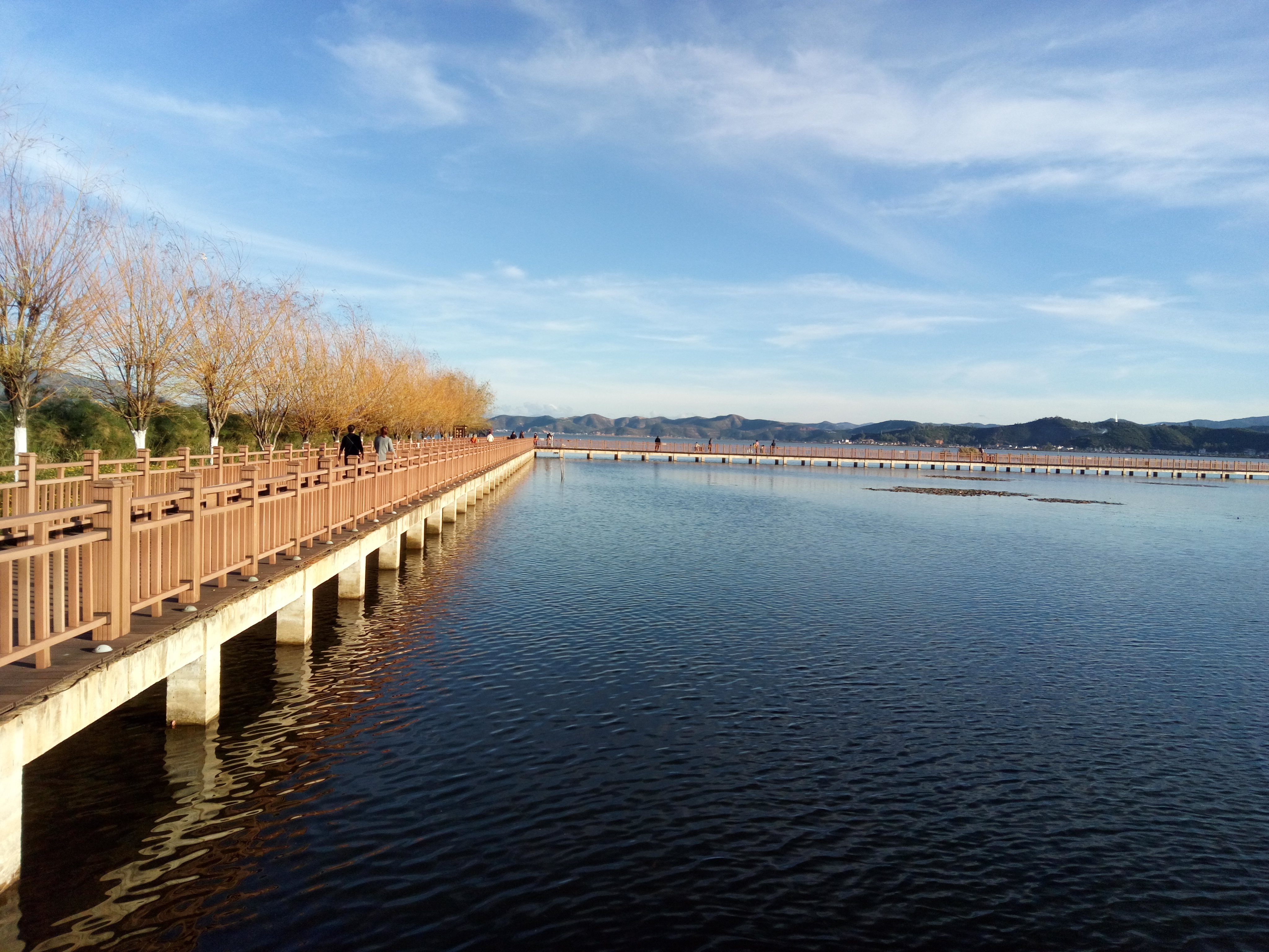 石屏异龙湖,度冬好去处