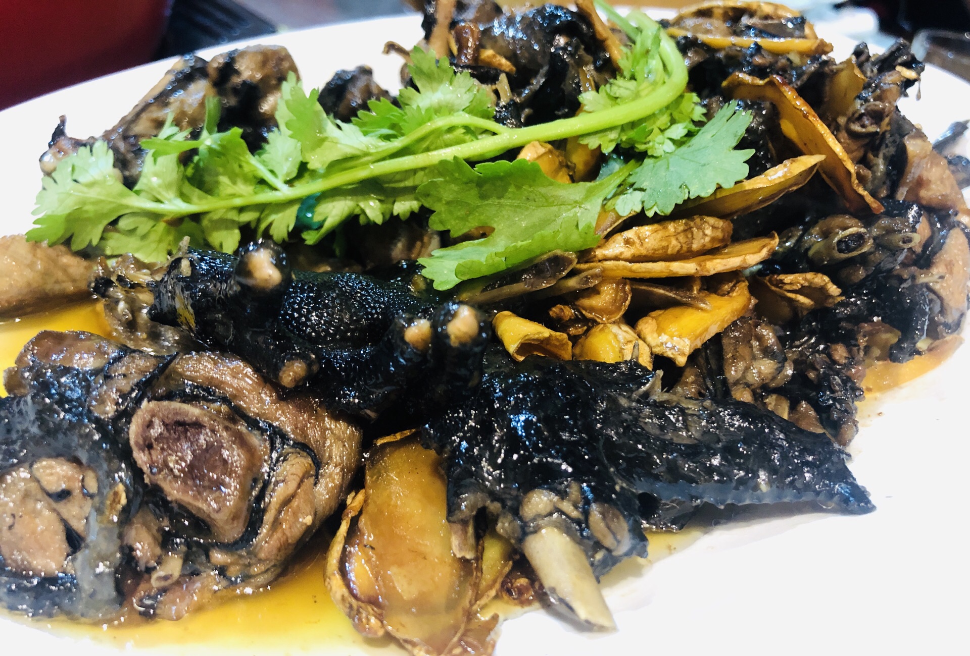 【茶油焖黑鸡】乌鸡对女生来说真的很好,很补,用