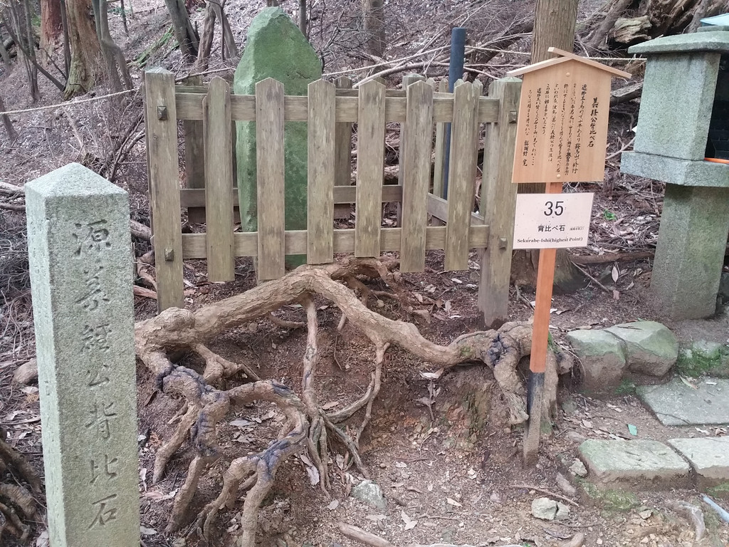 18日本历史自由行 京阪篇 京都游记攻略 携程攻略