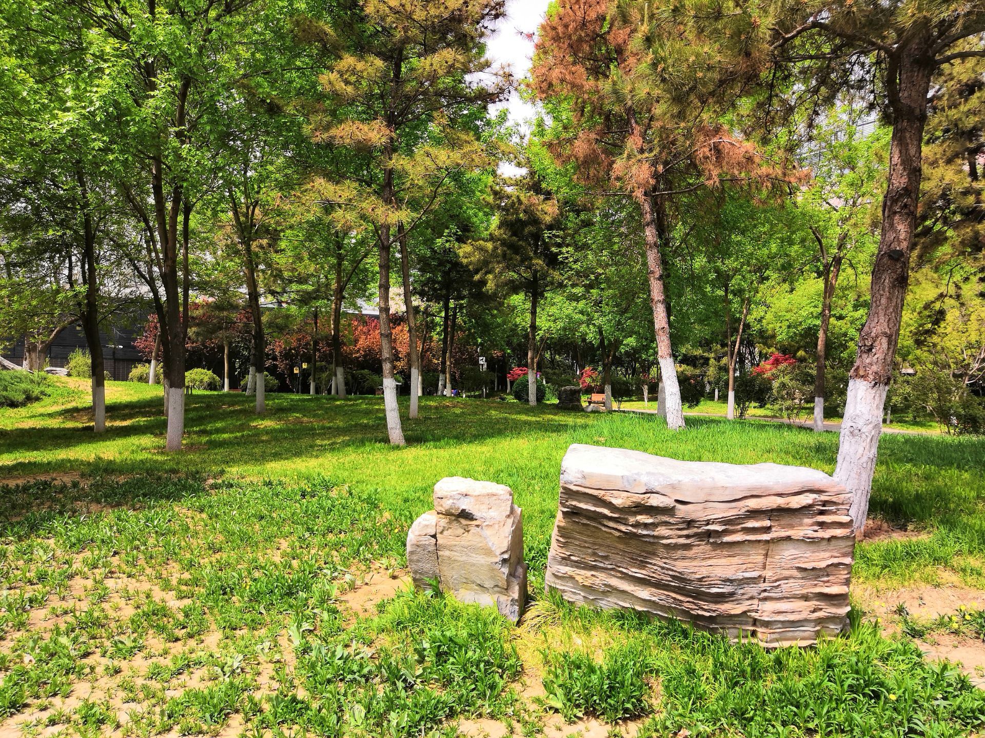 2022枣林公园游玩攻略,.晚上公园门口广场上总有很.【去哪儿攻略】