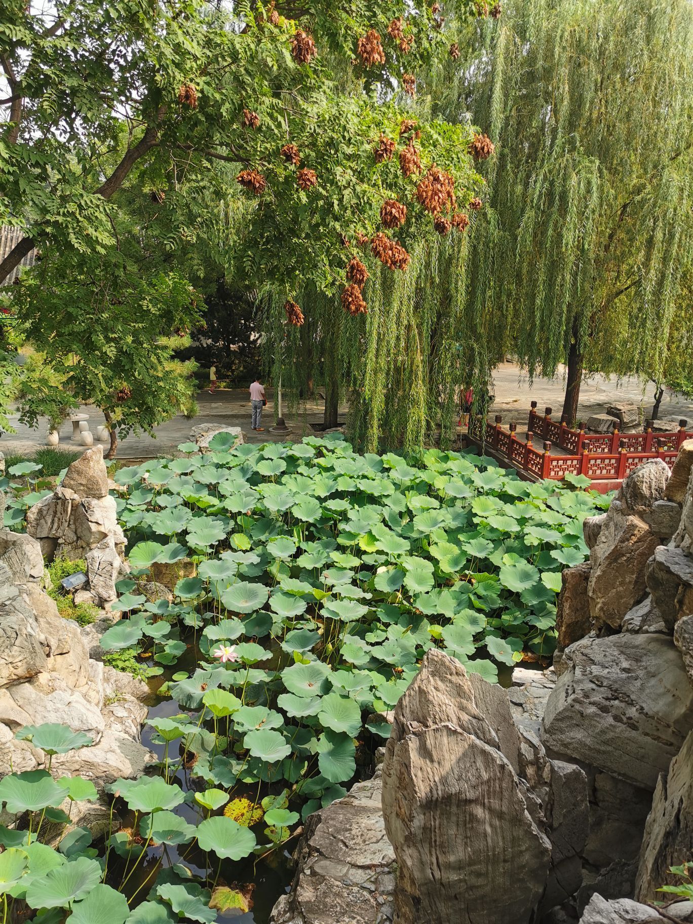 秋天的北京——北京大观园
