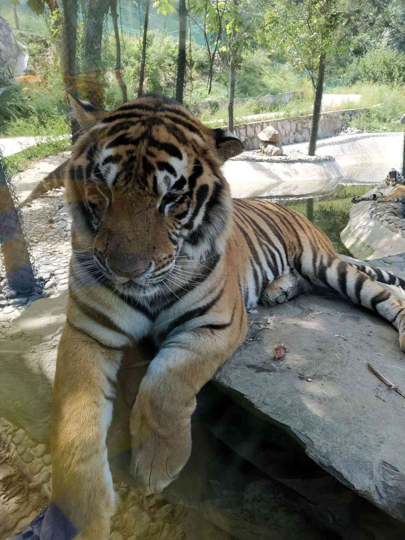 欒川竹海野生動物園