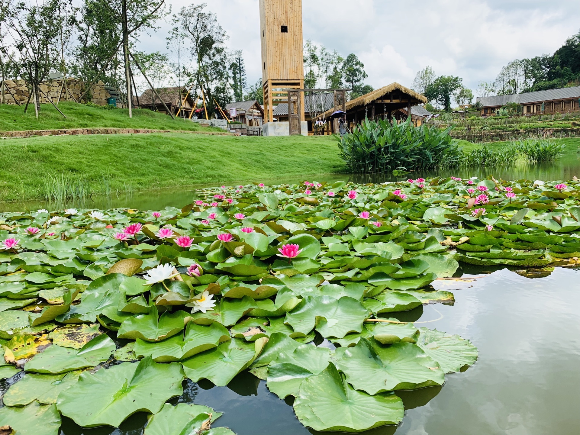 黄龙溪欢乐田园