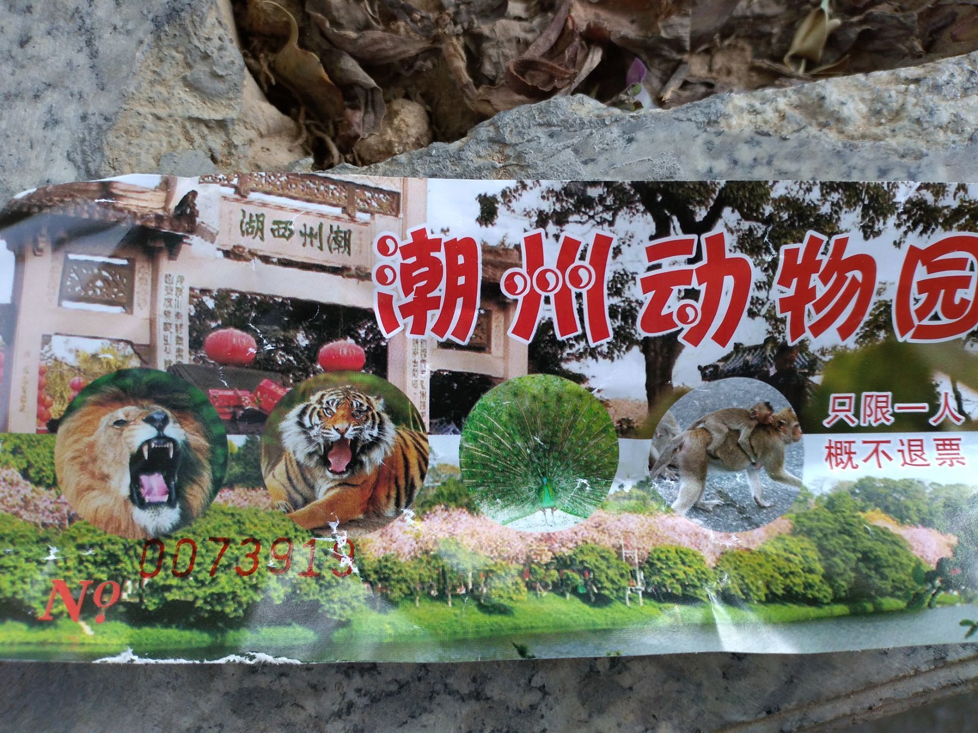 潮州动物园图片