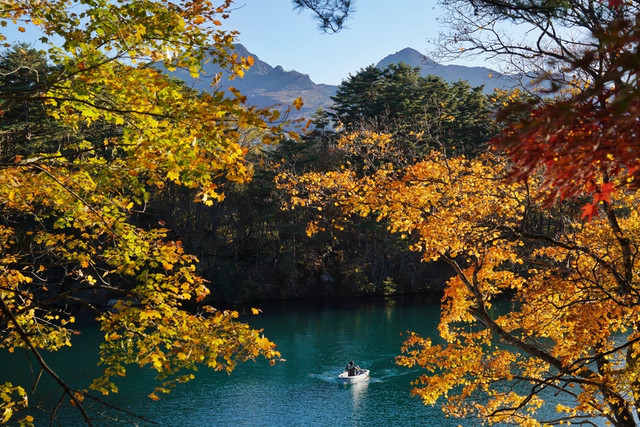 日本旅行 一期一会红叶狩 磐梯山最美五色沼 携程氢气球