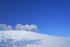 [雪乡游记图片] 带着孩子去看东北，感受冰雪的童话世界，雪乡